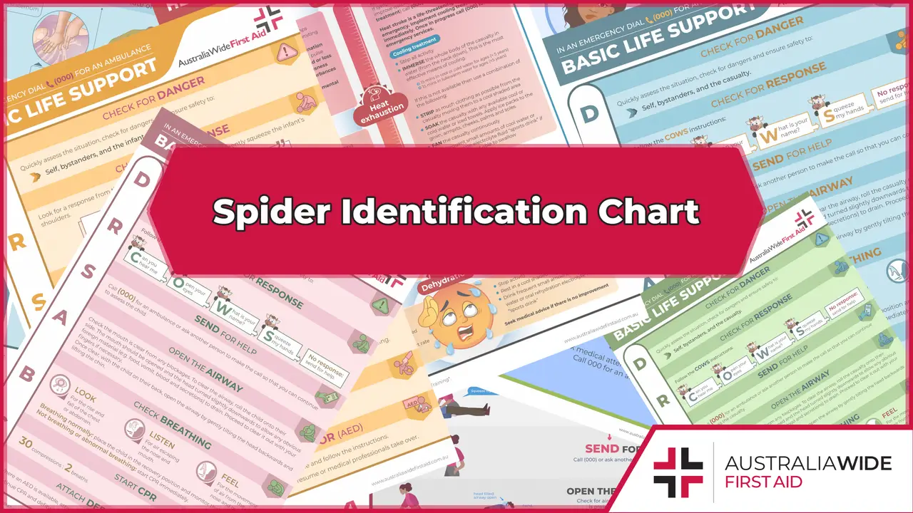 Spider identification chart cover image